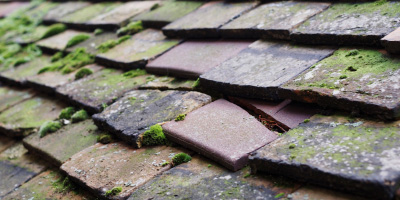 Warboys roof repair costs